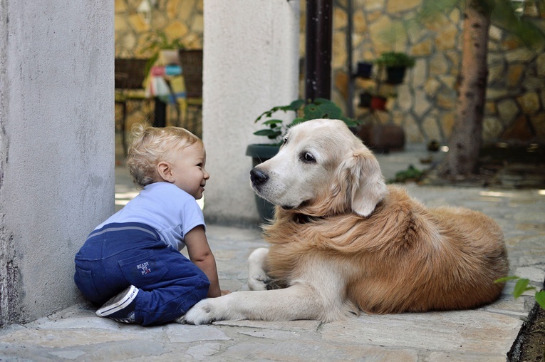 Dzieciństwo z psem może zapobiegać chorobie Leśniowskiego-Crohna