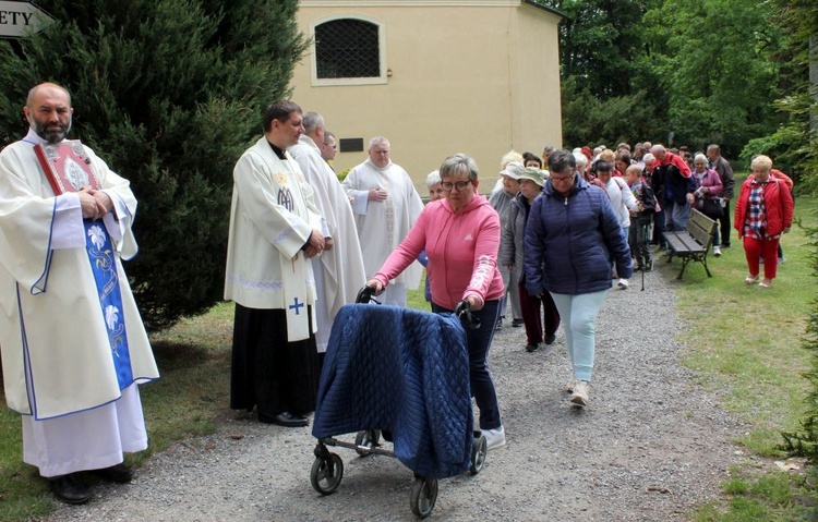 Pielgrzymka chorych i niepełnosprawnych