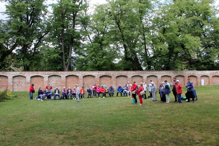 Pielgrzymka chorych i niepełnosprawnych