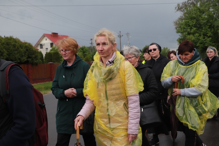 IX DPK. Wędrówka z Radziwiłłowa Mazowieckiego