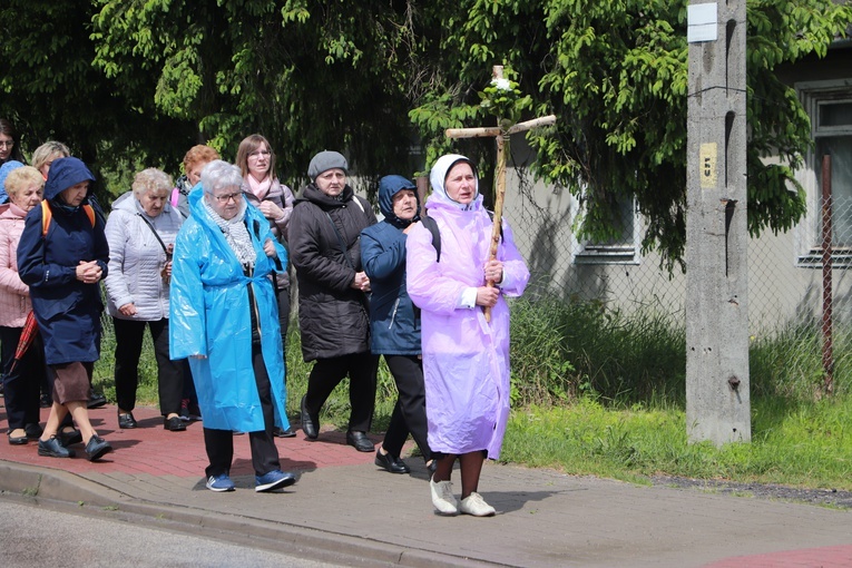 IX DPK. Wędrówka z Radziwiłłowa Mazowieckiego