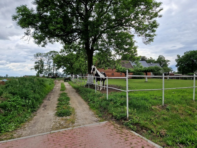 Pielgrzymka powołaniowa koszalińskiego seminarium