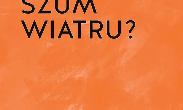 Wilfrid Stinissen OCD
Słyszysz szum wiatru?
W drodze
Poznań 2022
ss. 136