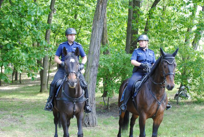 Stalowa Wola. Dzień Dziecka w parku