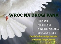 Materiały promujące wigilie Zesłania Ducha Świętego w diecezji świdnickiej