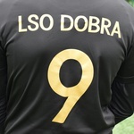 Dzień LSO w Dobrej