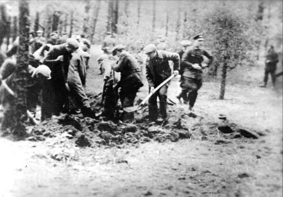Zbrodnia piaśnicka, czyli "Kaszubska Golgota" - trzeba przywrócić pamięć ofiarom niemieckiego ludobójstwa