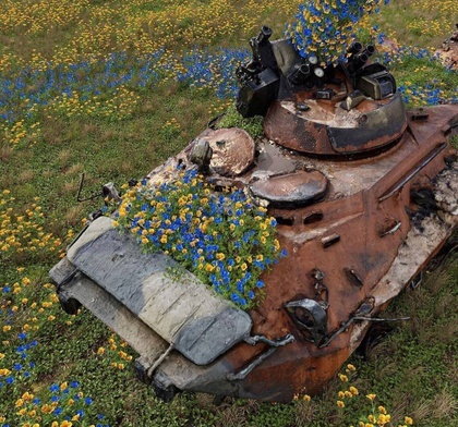 Zniszczony rosyjski czołg porośnięty niebieskimi i żółtymi kwiatami