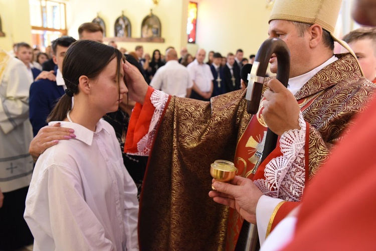 Bierzmowanie par. Krzyża Św. i MBB w Dębicy 