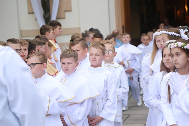 Rozpoczęcie nawiedzenia w Oleśnie