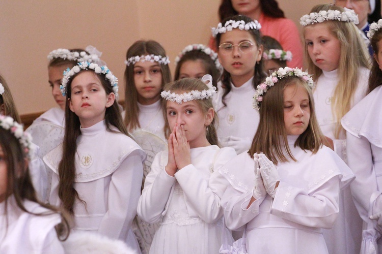 Rozpoczęcie nawiedzenia w Oleśnie