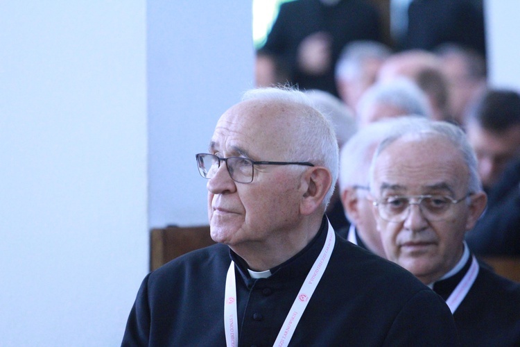 VI sesja plenarna synodu
