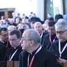 VI sesja plenarna synodu