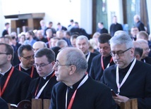 VI sesja plenarna synodu