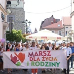 Marsz dla Życia i Rodziny w Żywcu - 2022