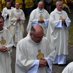 Pielgrzymka chorych, niepełnosprawnych i służby zdrowia do Rokitna