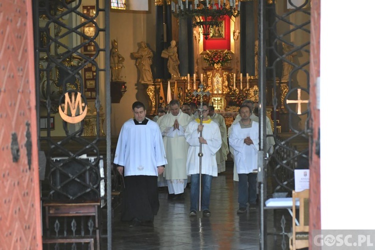 Pielgrzymka chorych, niepełnosprawnych i służby zdrowia do Rokitna