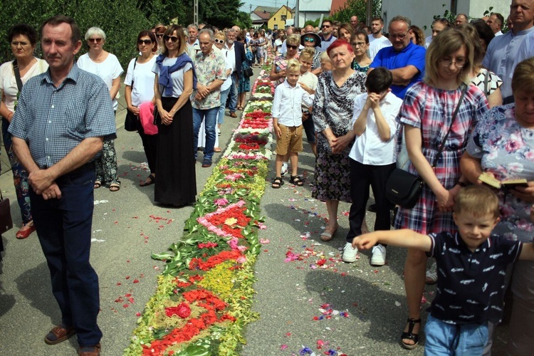 Procesja Bożego Ciała po kwietnych dywanach w Kluczu