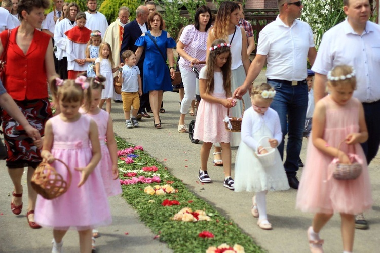 Procesja Bożego Ciała po kwietnych dywanach w Kluczu