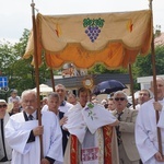 Procesja eucharystyczna z wrocławskiego Kozanowa na Pilczyce z kwietnymi dywanami