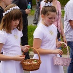 Procesja eucharystyczna z wrocławskiego Kozanowa na Pilczyce z kwietnymi dywanami