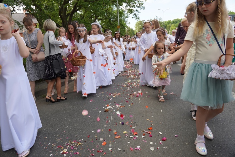 Procesja eucharystyczna z wrocławskiego Kozanowa na Pilczyce z kwietnymi dywanami