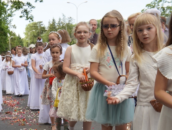 Procesja eucharystyczna z wrocławskiego Kozanowa na Pilczyce z kwietnymi dywanami