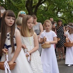 Procesja eucharystyczna z wrocławskiego Kozanowa na Pilczyce z kwietnymi dywanami