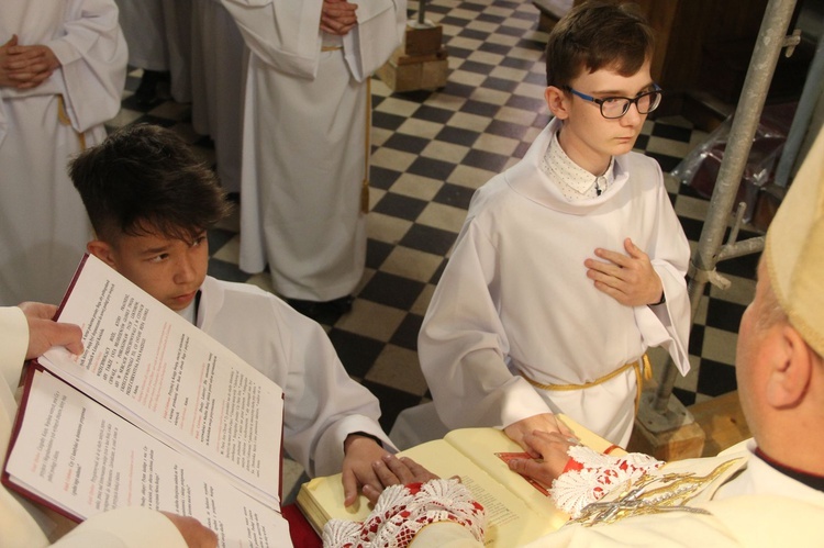 Ujanowice. Błogosławieństwo nowych lektorów