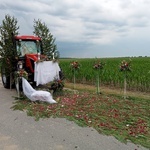 Procesja Bożego Ciała w Strzelcach