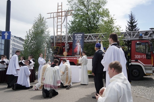 Pan Jezus na kwietnych dywanach. Boże Ciało na Kamionku