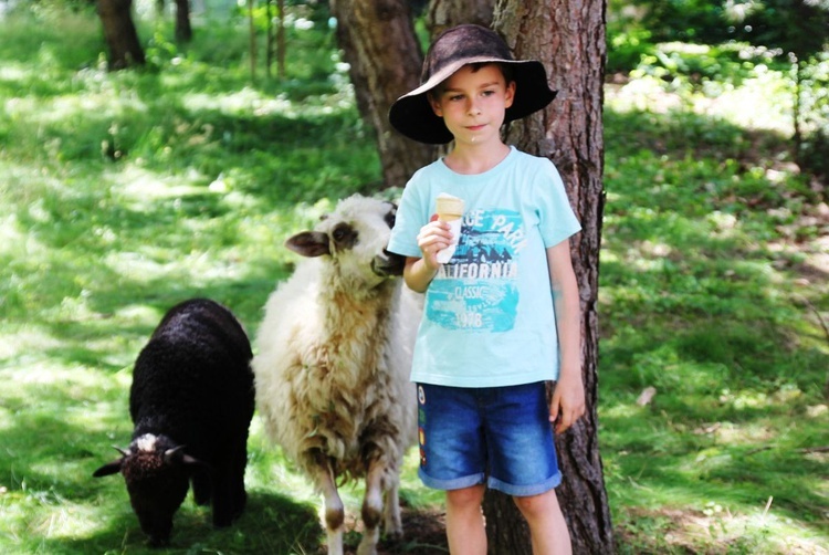 Festyn "Pójdę za Tobą" w parafii Najświętszego Serca Pana Jezusa w Bielsku-Białej