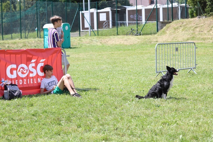 Biegacze od bł. Frassatiego na finiszu górskiego półmaratonu w Międzybrodziu Bialskim - 2022