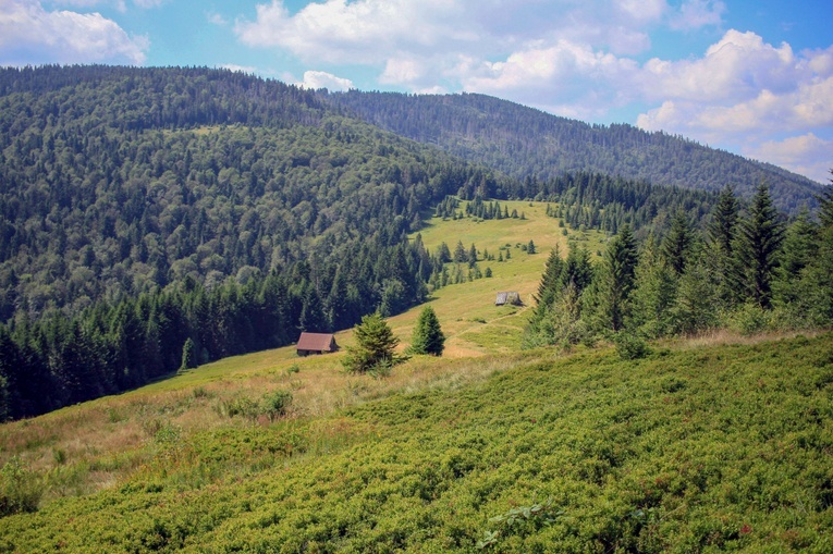 Ruch Światło-Życie zaprasza na oazy