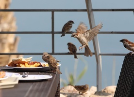 O tyle spraw się troszczymy, a przecież...