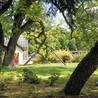 Wypocząć można podczas spaceru po Arboretum Wirty.