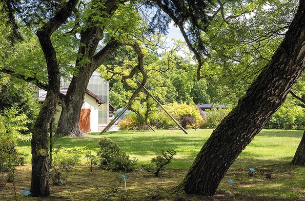 Wypocząć można podczas spaceru po Arboretum Wirty.