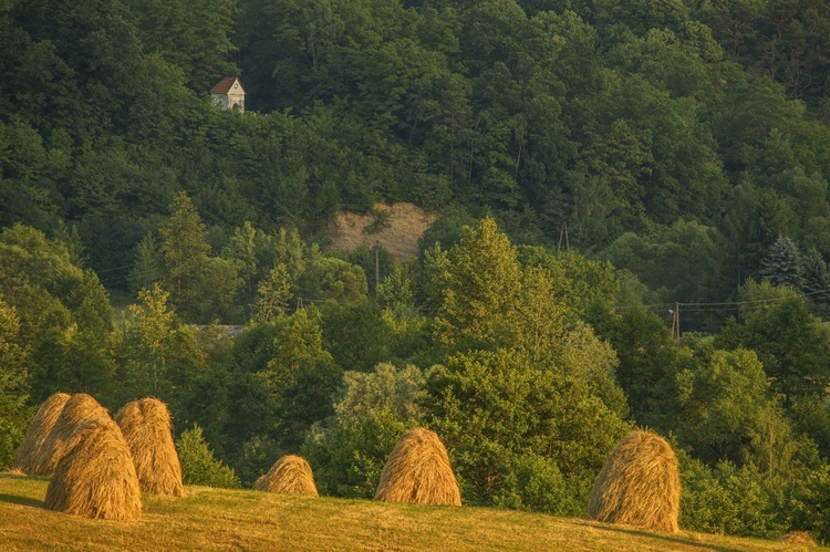 Kościoły, kapliczki i krzyże z Szerzyn i okolic