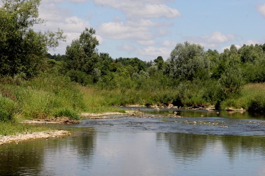 Wielki Spływ - Biała Tarnowska