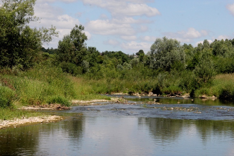 Wielki Spływ - Biała Tarnowska