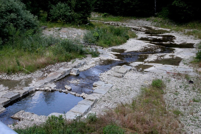 Wielki Spływ - Biała Tarnowska