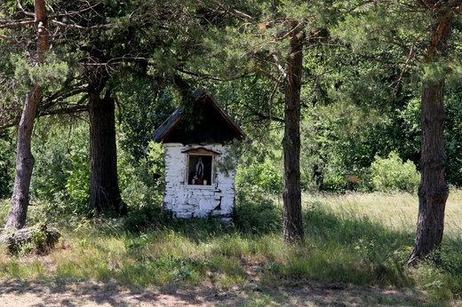 Wielki Spływ - Biała Tarnowska