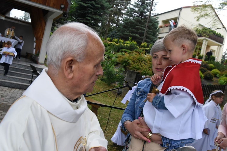 Odpust i jubileusz w Domosławicach