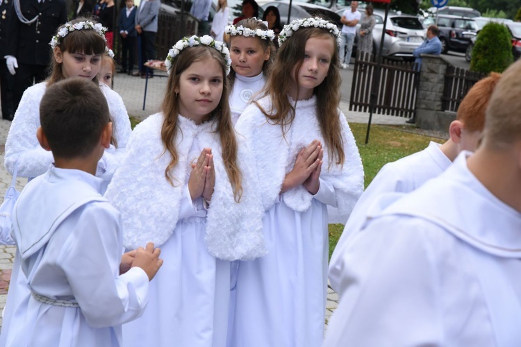 Odpust i jubileusz w Domosławicach