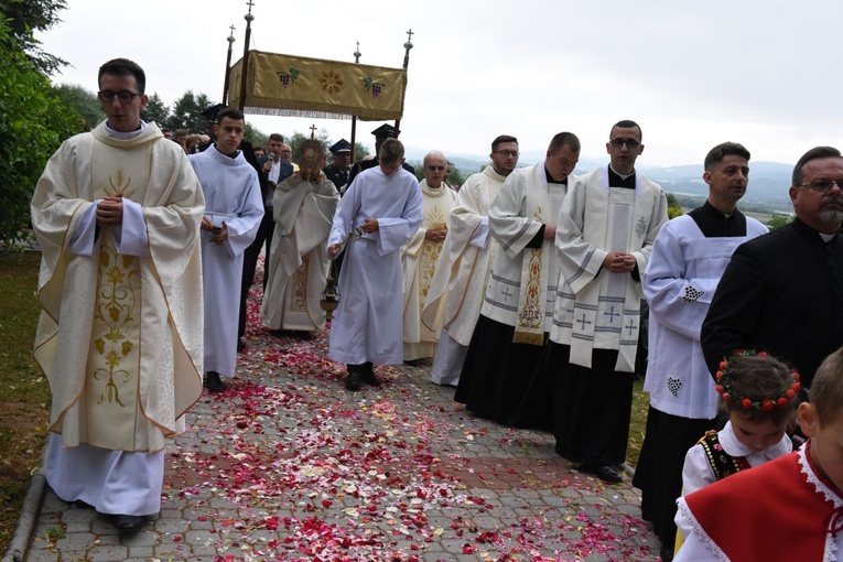 Odpust i jubileusz w Domosławicach