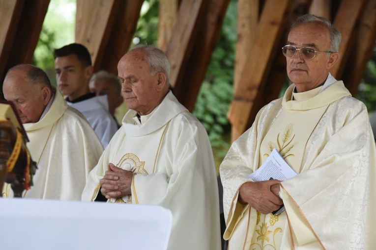 Odpust i jubileusz w Domosławicach