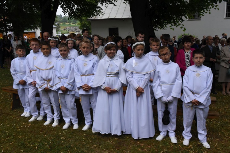 Odpust i jubileusz w Domosławicach