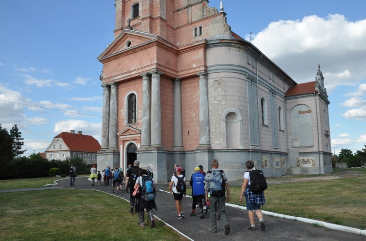 Jubileuszowe Camino Synodalne