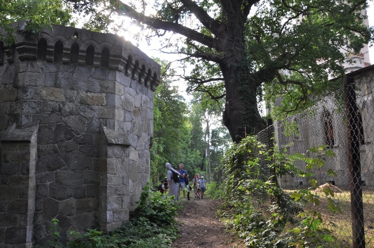 Jubileuszowe Camino Synodalne