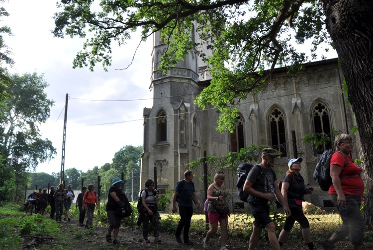 Jubileuszowe Camino Synodalne